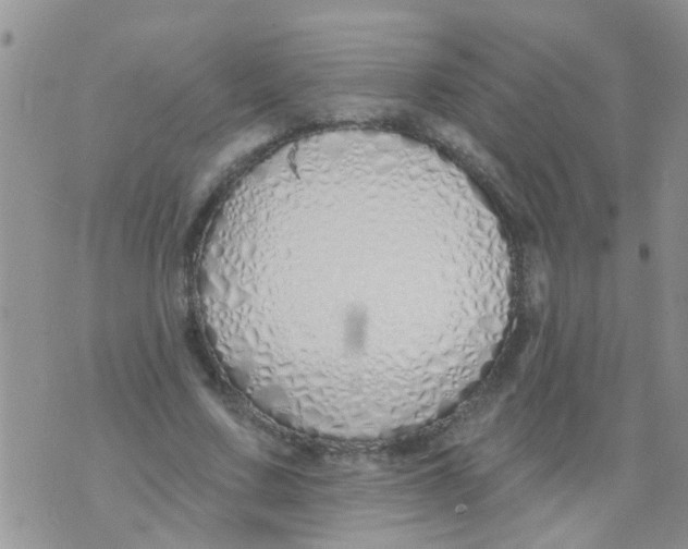 X0000073930683200609082303