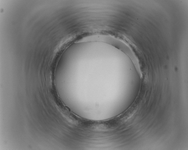 X0000073930685200609082303