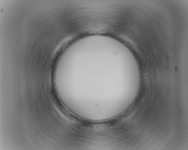 X0000073930686200609082303