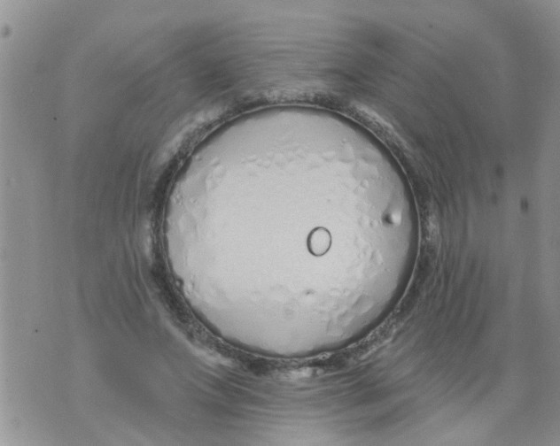 X0000073930687200609082303