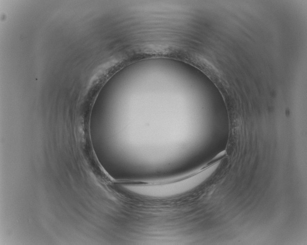 X0000073930688200609082303