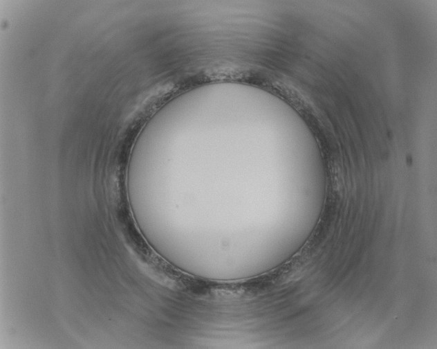 X0000073930690200609082303