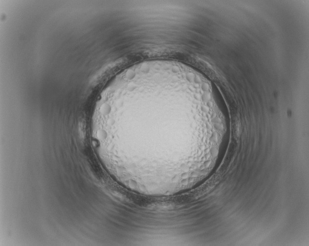 X0000073930691200609082303