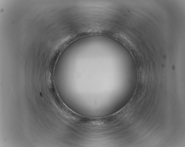 X0000073930692200609082303