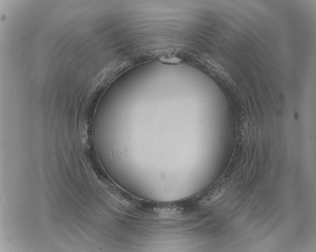 X0000073930693200609082303