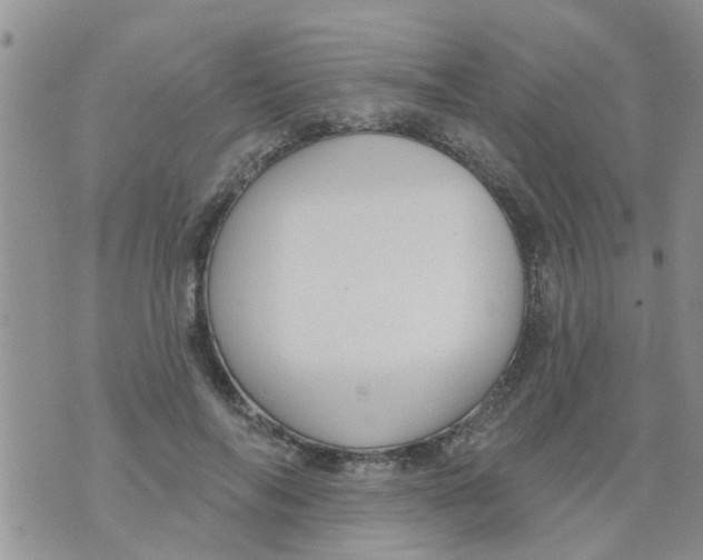 X0000073930694200609082303