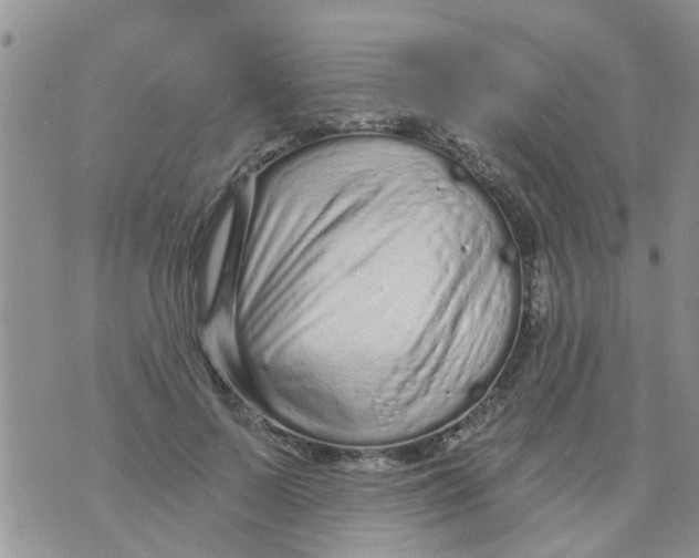 X0000073930695200609082303