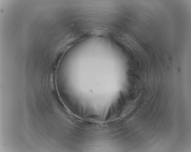 X0000073930696200609082303