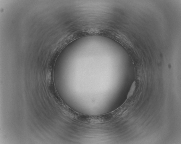 X0000073930697200609082303