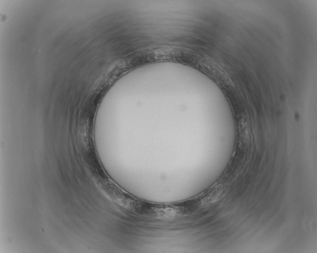 X0000073930698200609082303