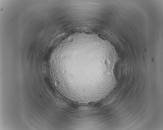 X0000073930699200609082303