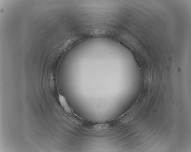 X0000073930700200609082303