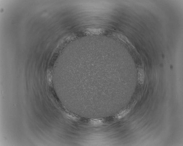 X0000073930701200609082303