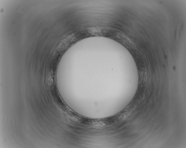 X0000073930702200609082303