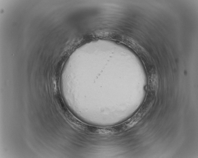 X0000073930703200609082303