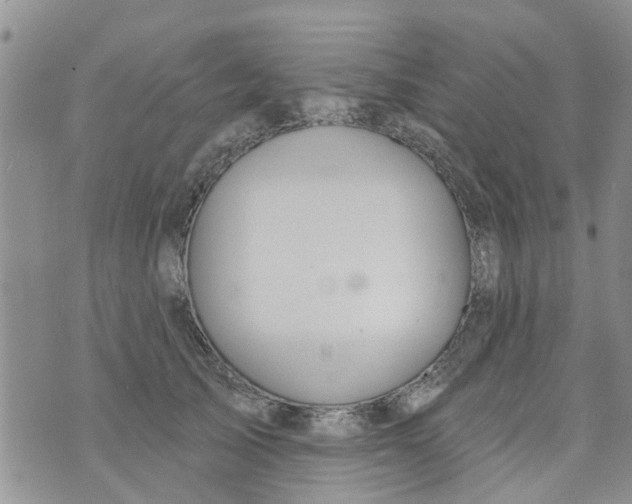 X0000073930705200609082303