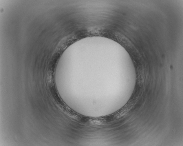 X0000073930706200609082303