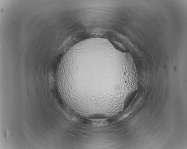 X0000073930707200609082303