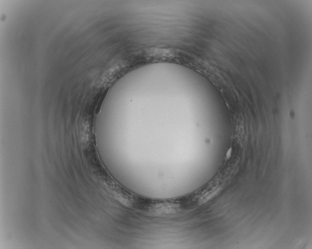 X0000073930708200609082303