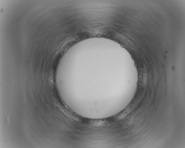 X0000073930710200609082303