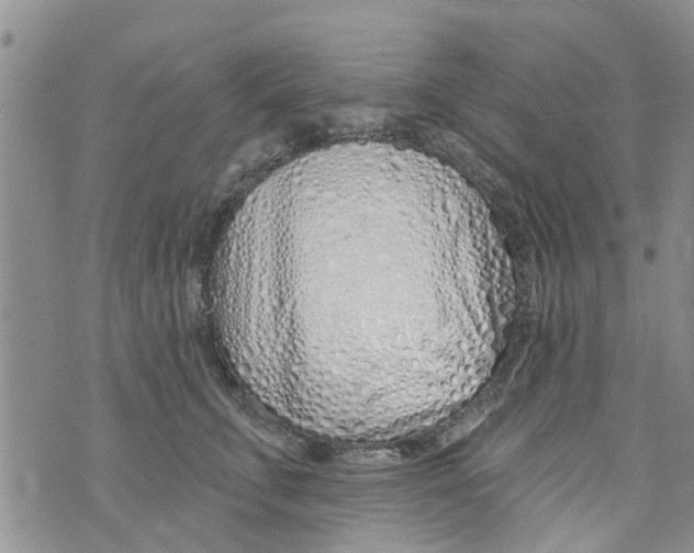 X0000073930711200609082303