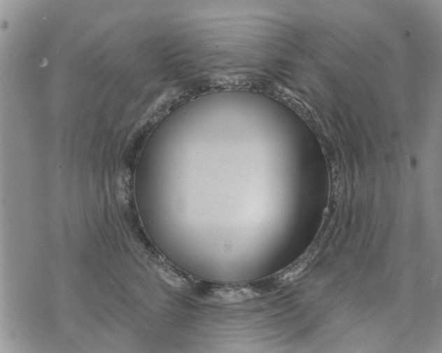 X0000073930712200609082303