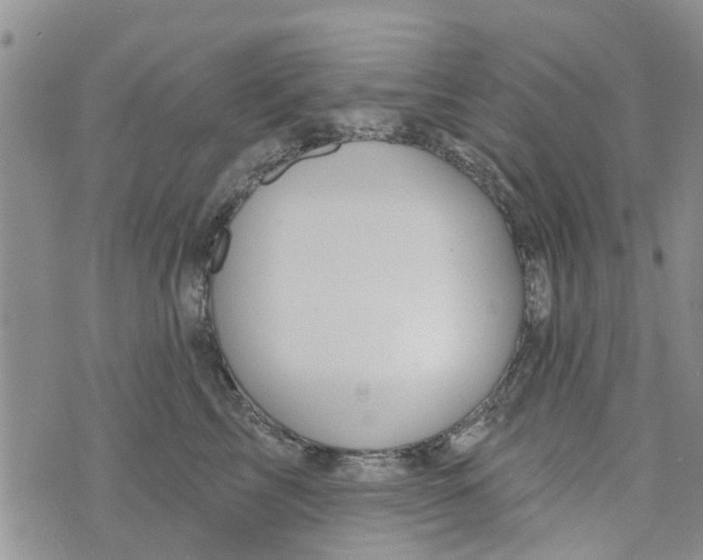 X0000073930713200609082303