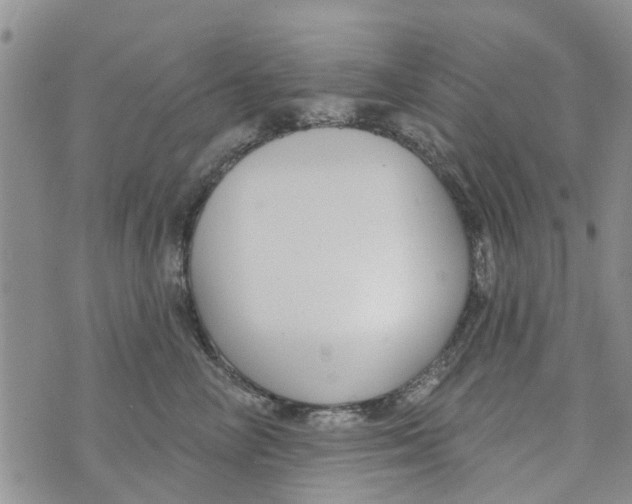 X0000073930714200609082303