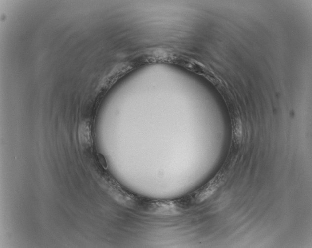 X0000073930715200609082303