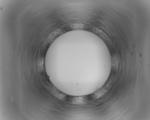 X0000073930717200609082303