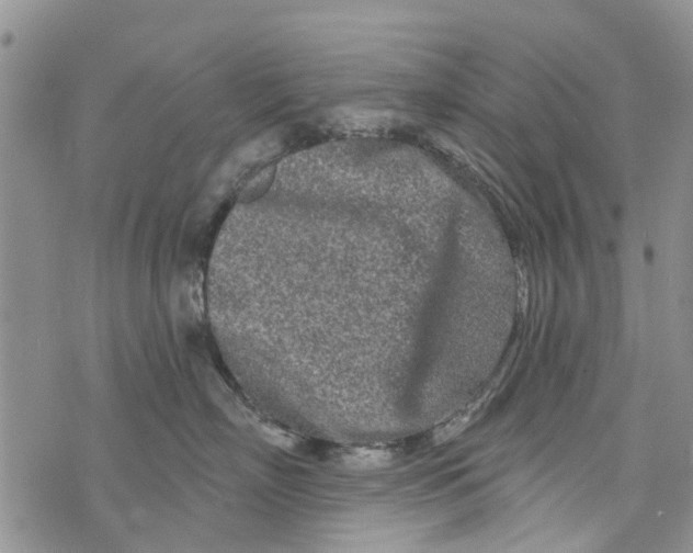 X0000073930718200609082303