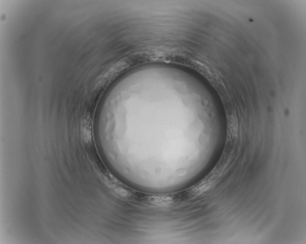 X0000073930719200609082303