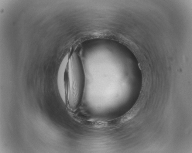 X0000073930720200609082303