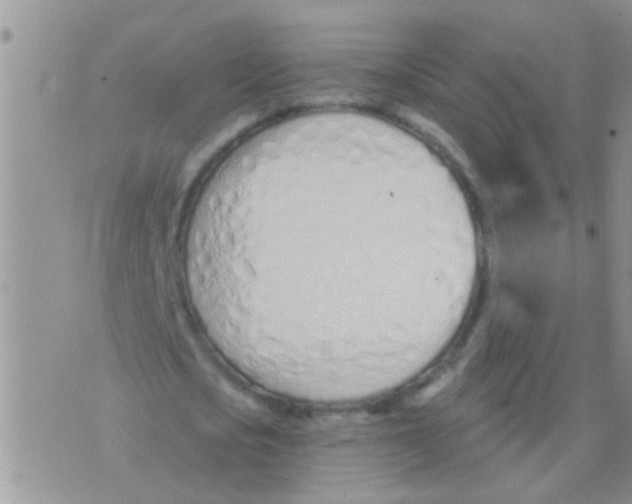 X0000073930721200609082302