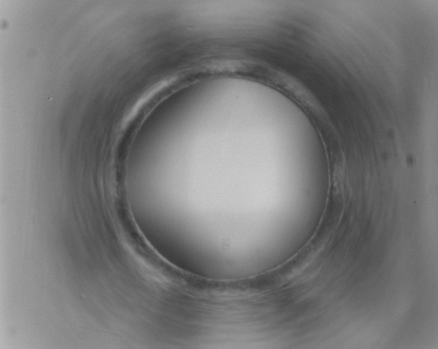 X0000073930722200609082302