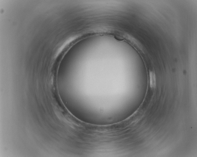 X0000073930723200609082302