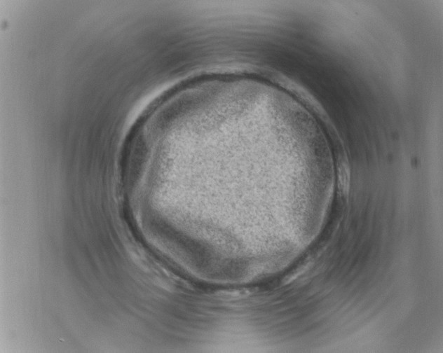 X0000073930724200609082302