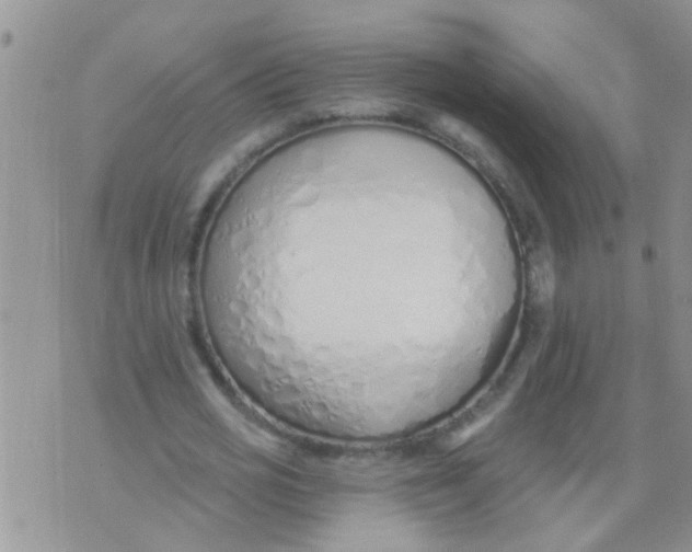 X0000073930725200609082302