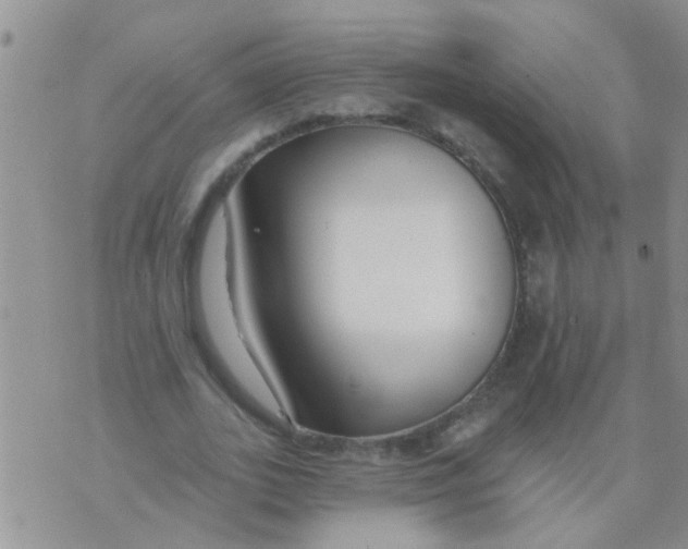 X0000073930727200609082302