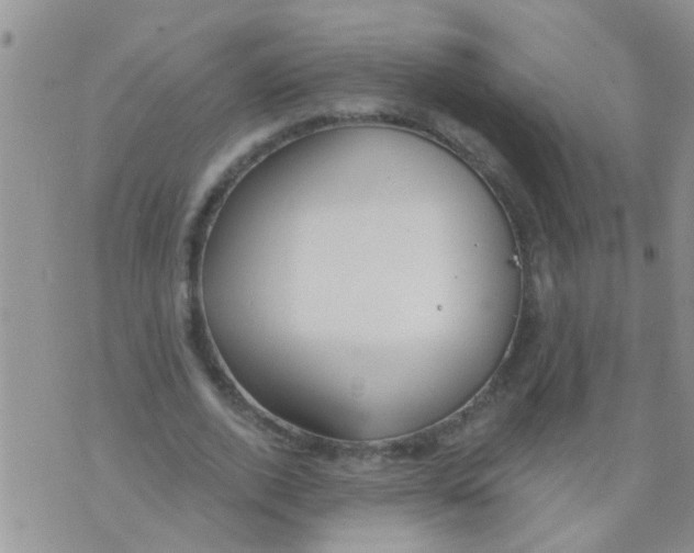 X0000073930728200609082302