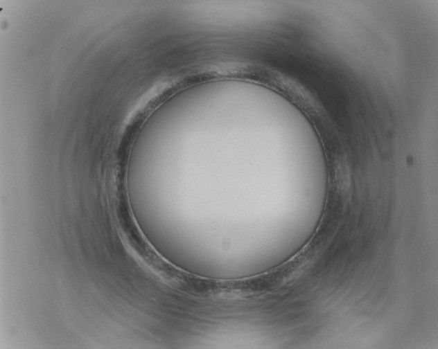 X0000073930730200609082302