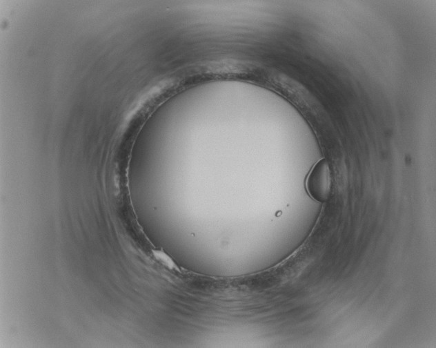 X0000073930731200609082302