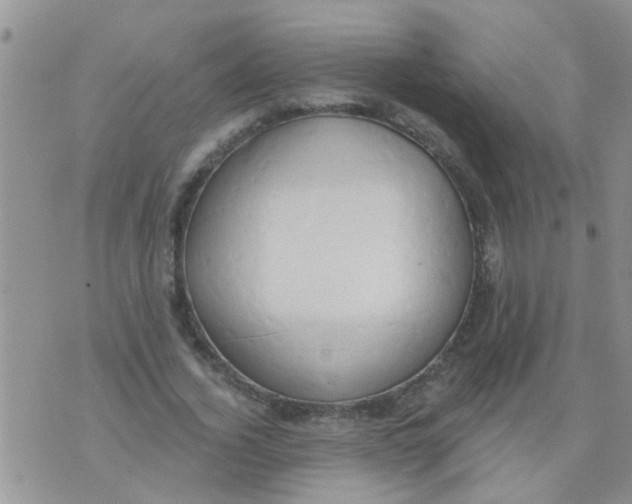 X0000073930732200609082302