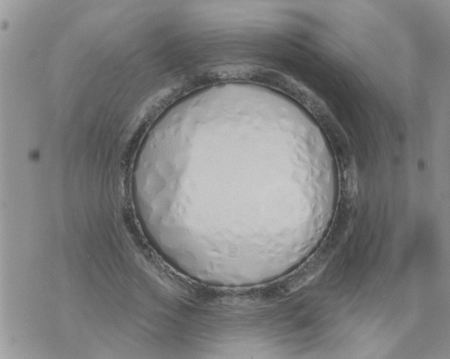 X0000073930733200609082302