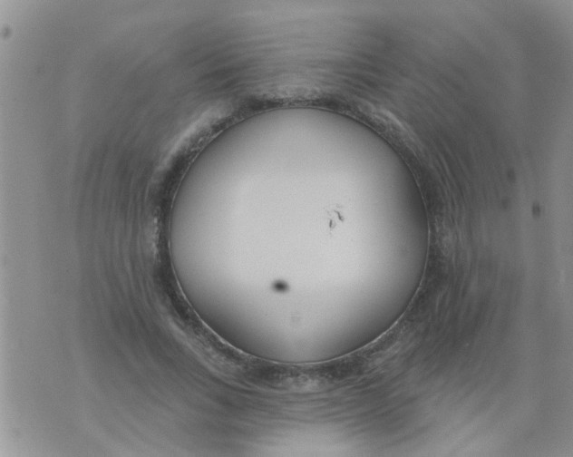 X0000073930735200609082302