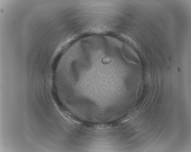 X0000073930736200609082302