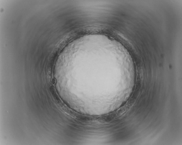 X0000073930737200609082302