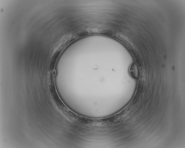 X0000073930738200609082302