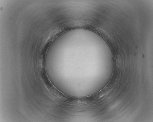 X0000073930739200609082302