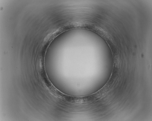 X0000073930740200609082302